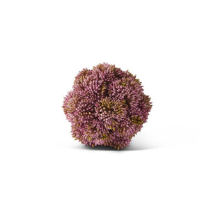 Sedum Ball Pink - 4in