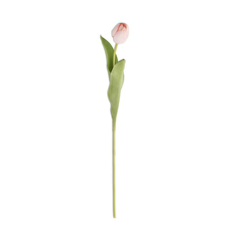 Pink Single Tulip Stem - 26.75In