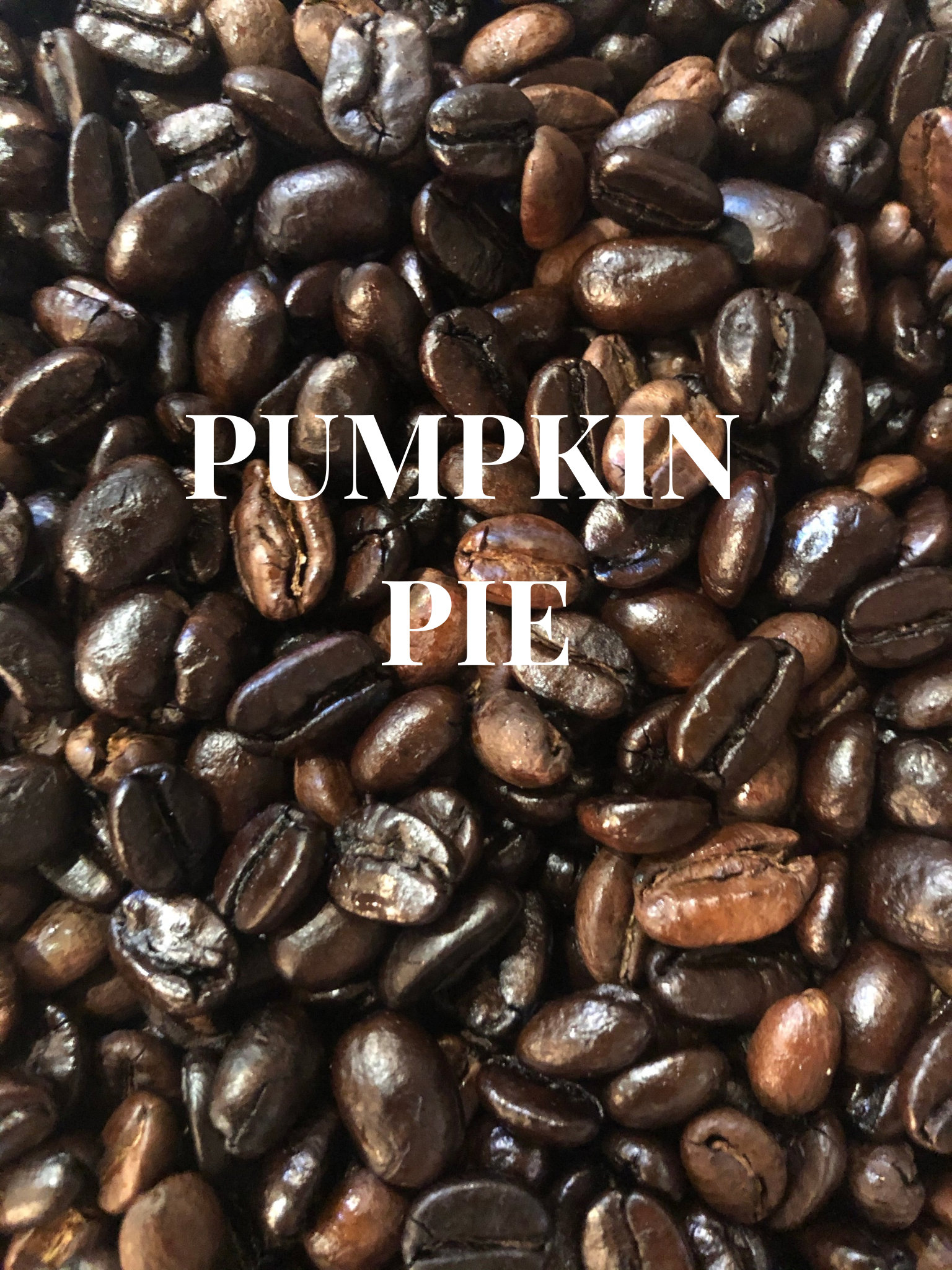 Pumpkin Pie Coffee - 16oz