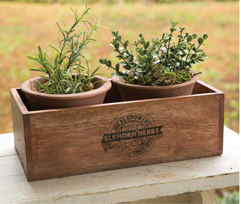 Elkhorn Herbs Planter w/Two Pots